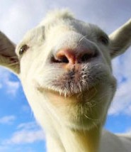 goat-simulator-super-sales-