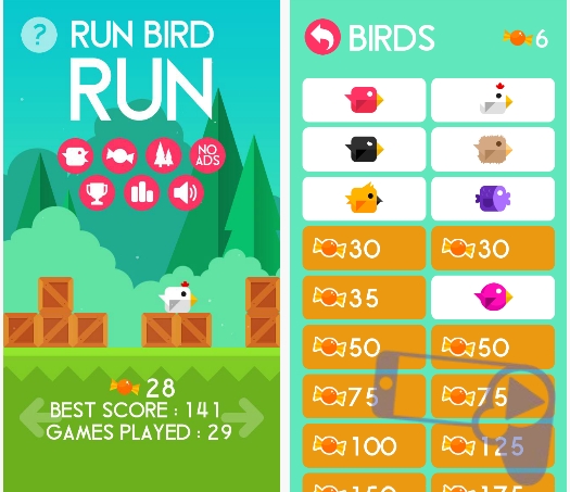 Обзор Run Bird Run: виды птиц
