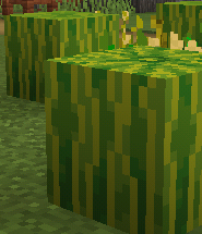 arbuzy-v-minecraft-ava