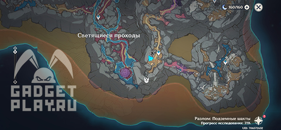 mikologicheskoe-issledovanie-razloma-v-genshin-impact-1