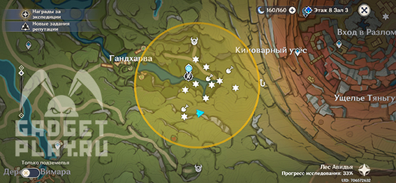 zateryannye-bogatstva-v-sumeru-v-genshin-impact-25