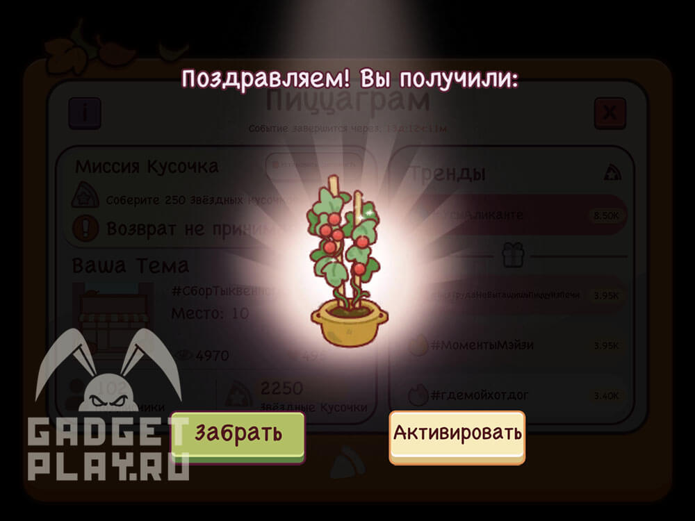 sbor-tykvennogo-urozhaya-xpop-2025-dop-4