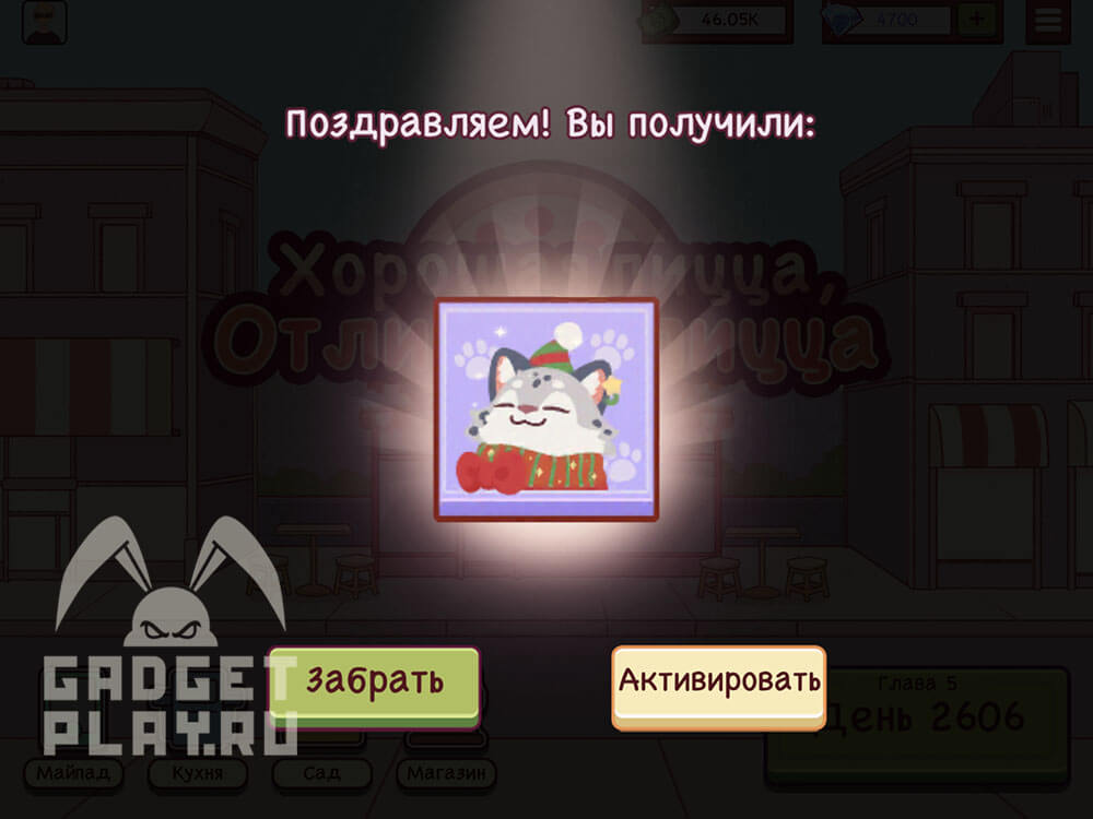 podarok-leopard-xpop-26